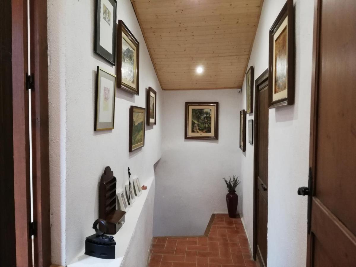 Apartament Cal Bove Sant Guim de Freixenet Zewnętrze zdjęcie